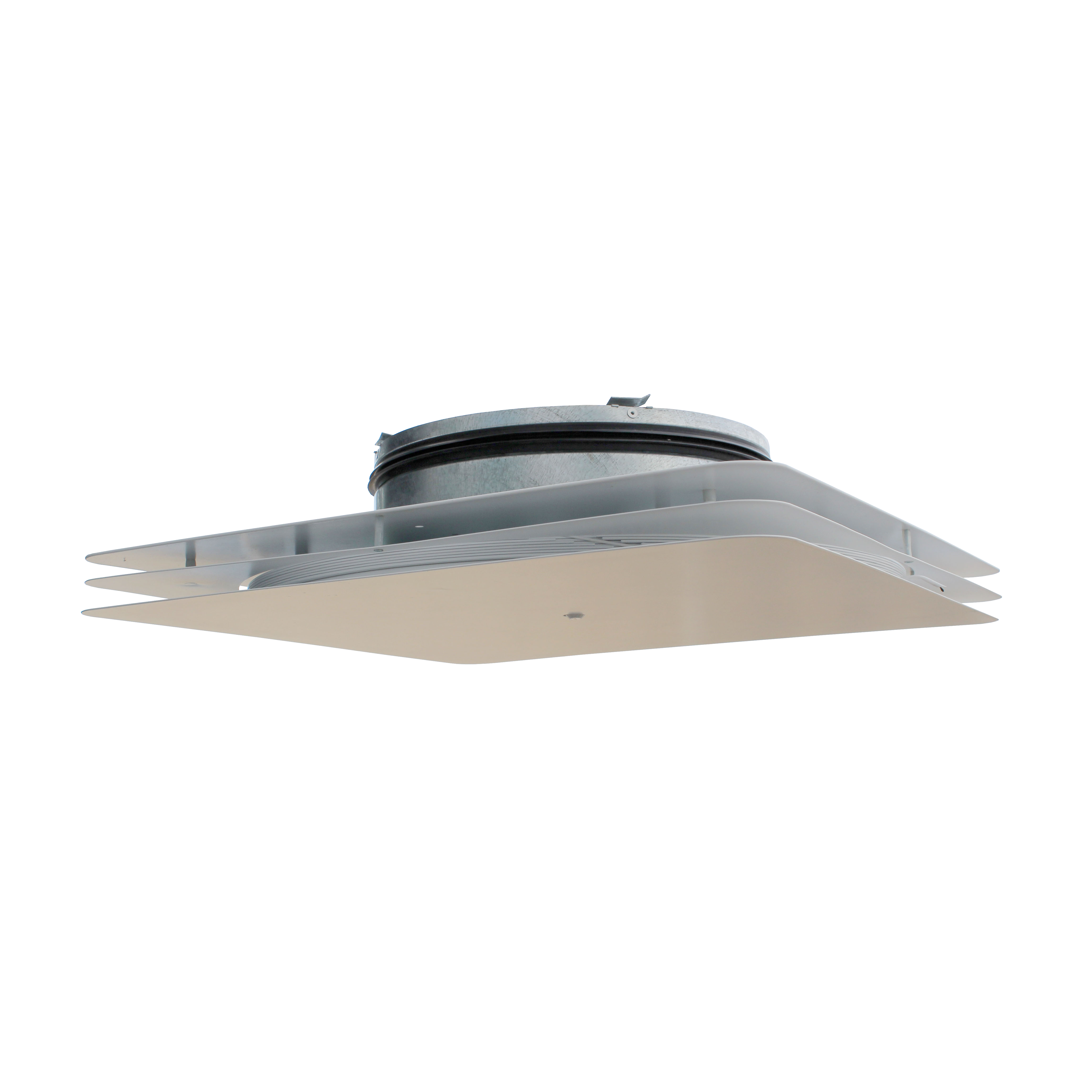 TTF